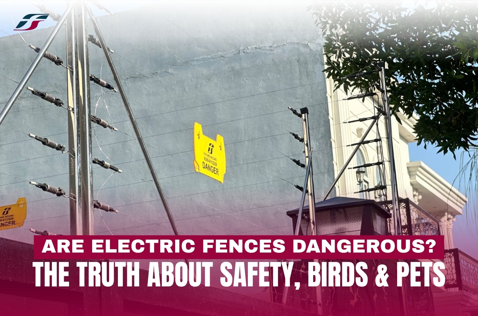 Are Electric Fences Dangerous? The Truth About Safety, Birds & Pets
